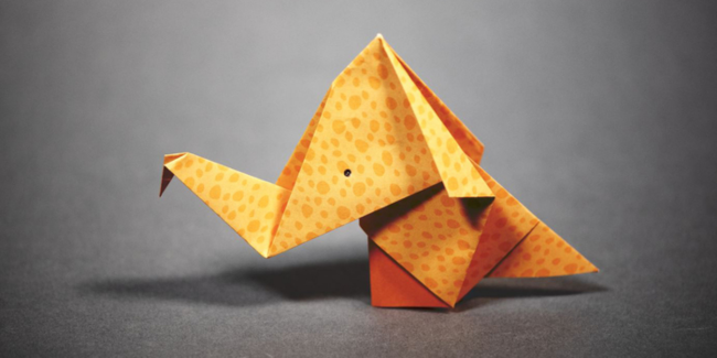 Atelier origami au Muséum de Toulouse